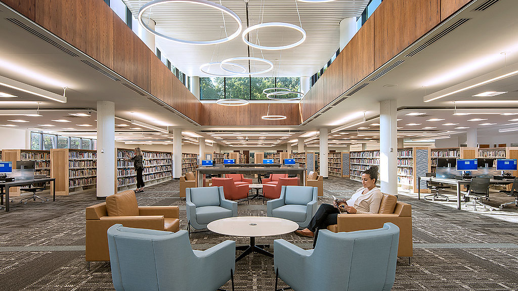 Public-Libraries